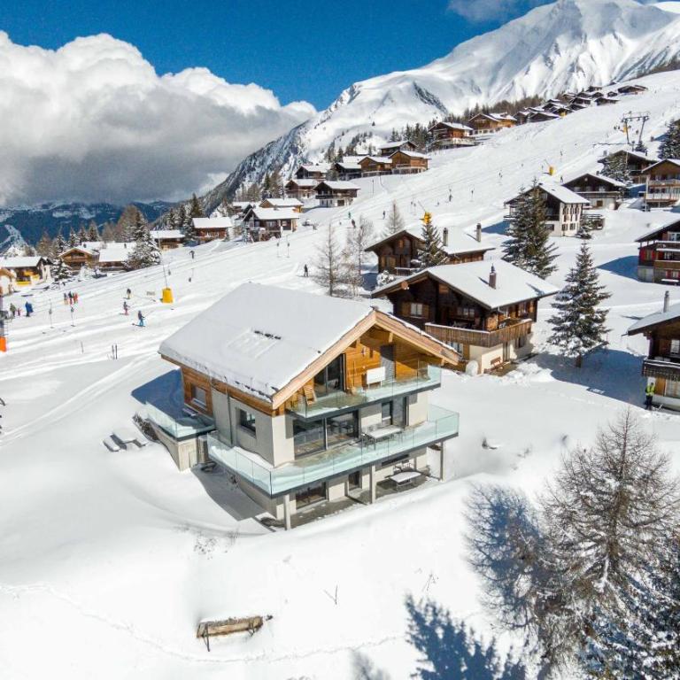 Chalet Avista - Apartment with Mountain View - 11