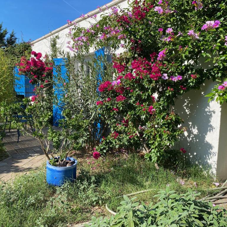 Maisonnette de Jardin - Apartamento de 1 dormitorio - 1