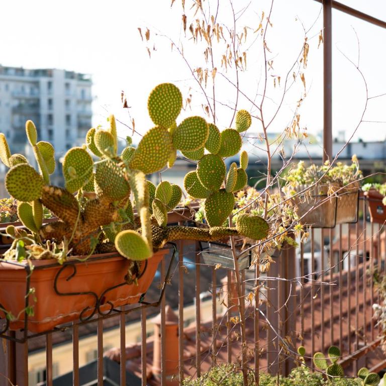 City center rooftop with terrace in porta Romana - Appartamento con 1 Camera da Letto - 47