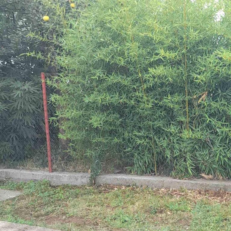 Apartman Stefan - Apartment mit 1 Schlafzimmer - 20