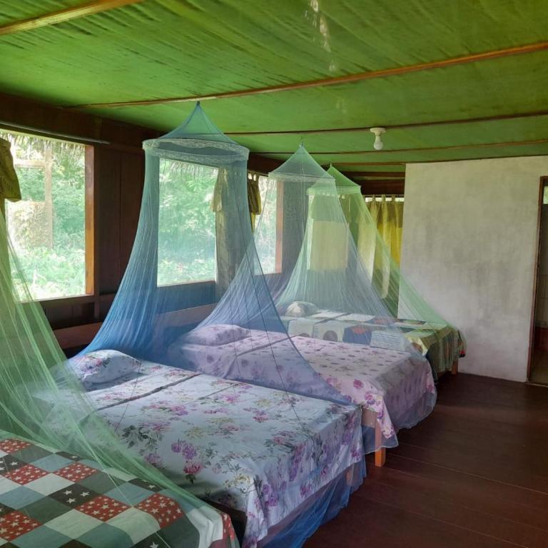La Lagartija Amazon Ayahuasca Retreat Peru - Single Room - 1