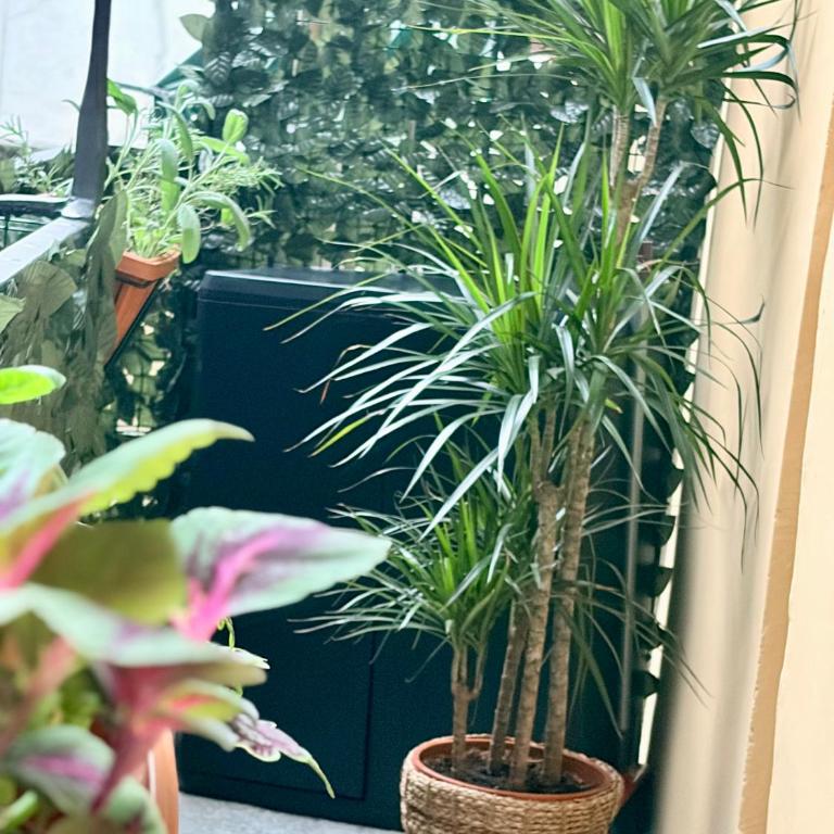 UrbanSuite Torino - Apartamento de 1 dormitorio - 33