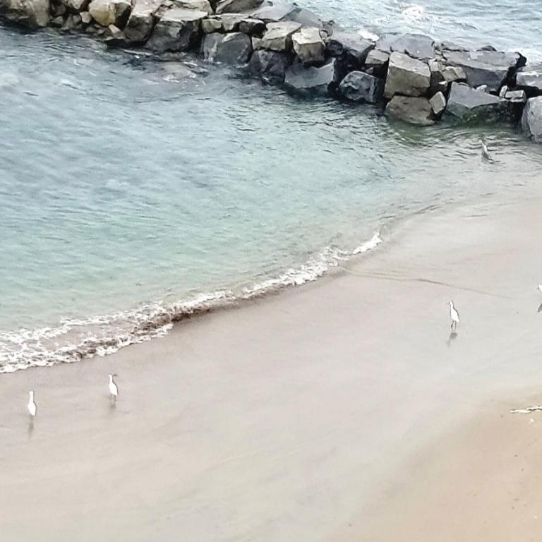 Amoblado y arrendado con Jacuzzi Vista al mar - One-Bedroom Apartment - 5