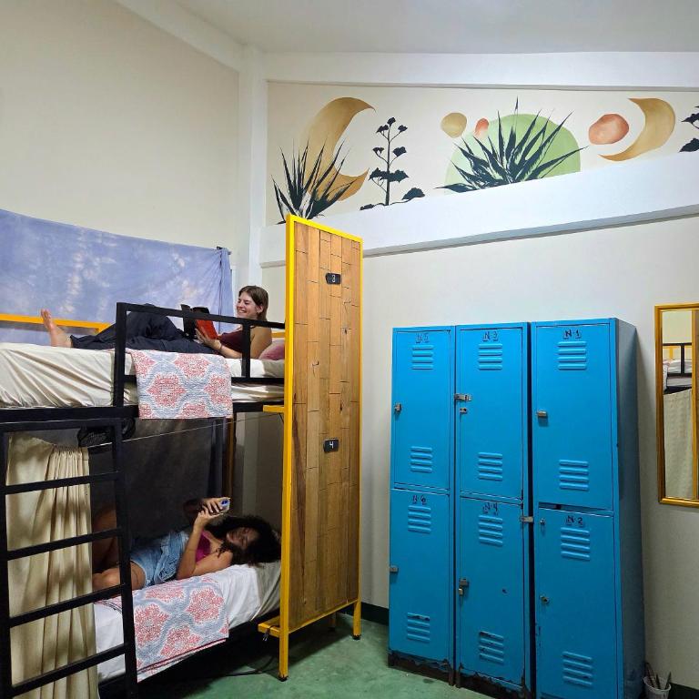 Nopalero Hostel - Etagenbett im Schlafsaal für Frauen - 2
