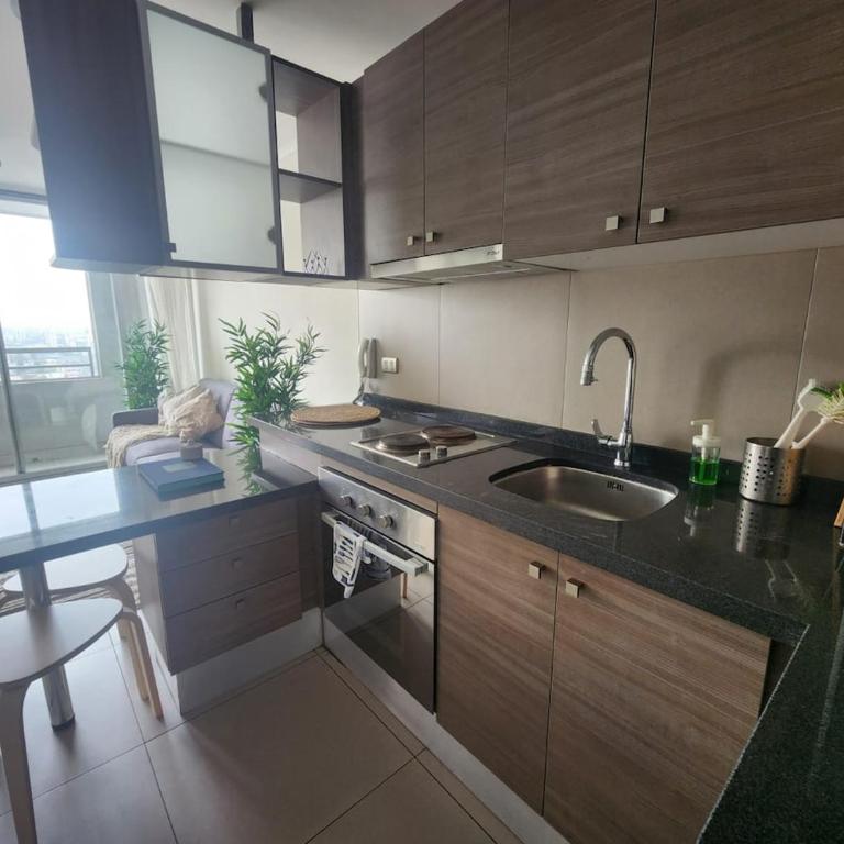 Comfortable apartment in downtown Santiago - Two-Bedroom Apartment - 2