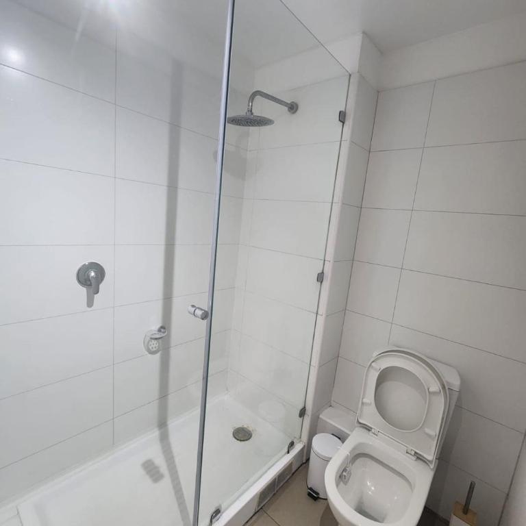Comfortable apartment in downtown Santiago - Two-Bedroom Apartment - 5