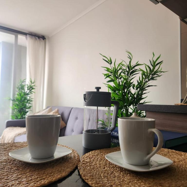 Comfortable apartment in downtown Santiago - Two-Bedroom Apartment - 11
