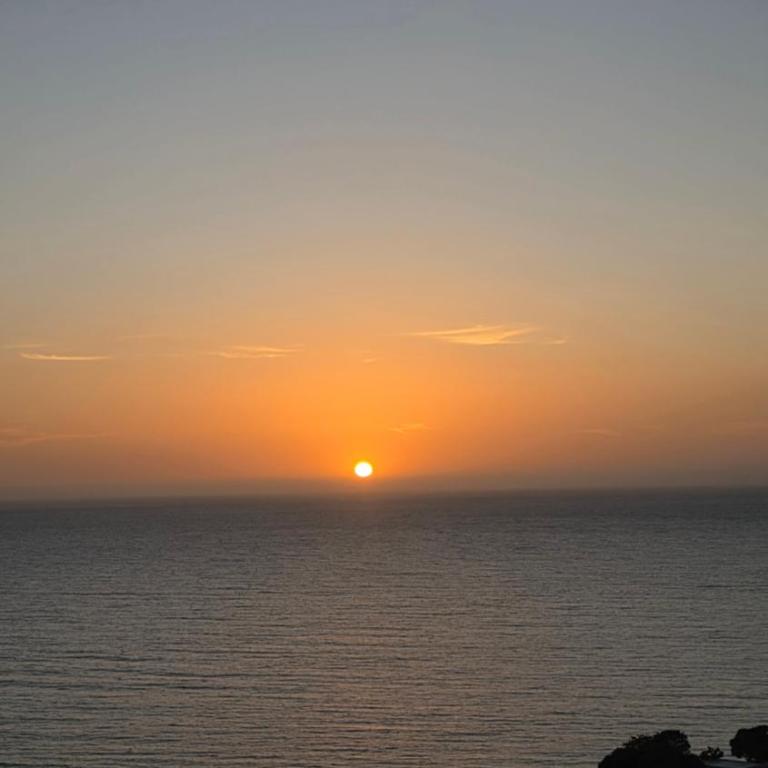 Caribbean Escape with Ocean View & Beach Access - One-Bedroom Apartment - 20