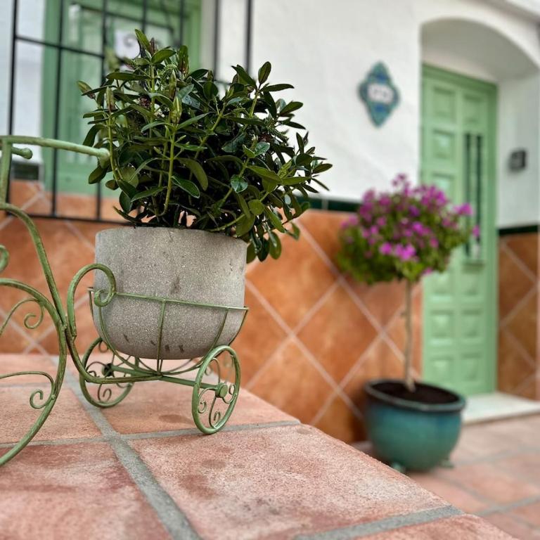 No14 Cómpeta, Townhouse with Mountain and Sea Views - Haus mit 2 Schlafzimmern - 48