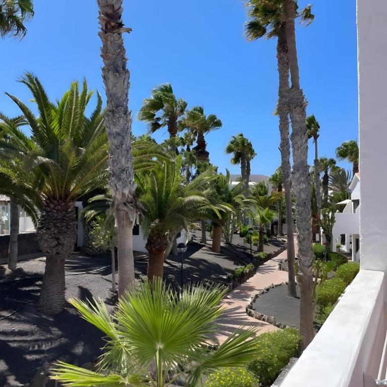 Oasis Dunas Canary House Deluxe By - Appartamento con 1 Camera da Letto e Vista Giardino - 19