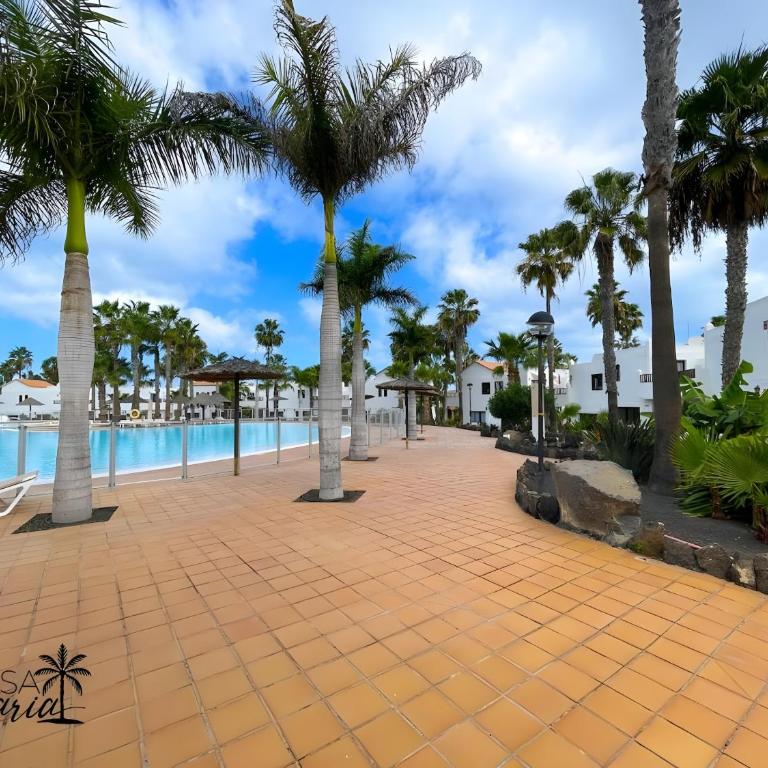 Oasis Dunas Canary House Deluxe By - Appartamento con 1 Camera da Letto e Vista Giardino - 5