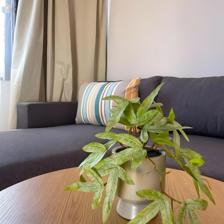Oasis Dunas Canary House Deluxe By - Appartamento con 1 Camera da Letto e Vista Giardino - 29