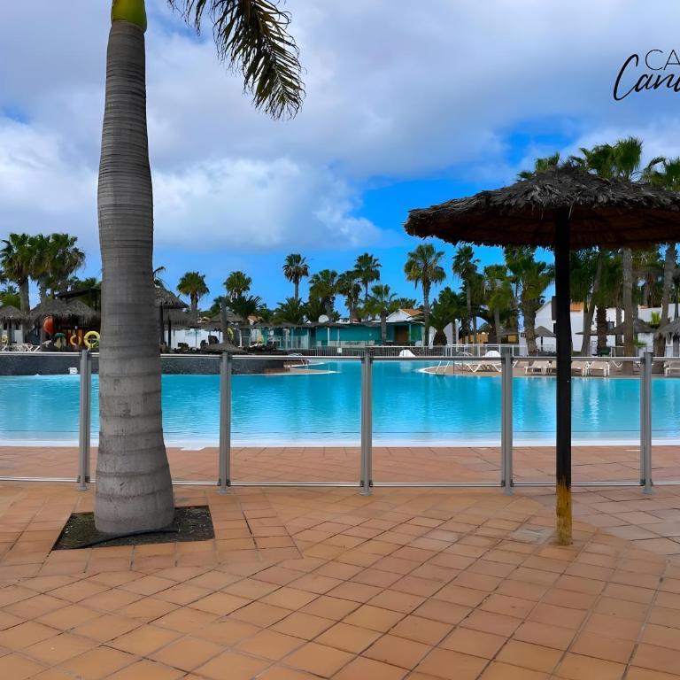 Oasis Dunas Canary House Deluxe By - Appartamento con 1 Camera da Letto e Vista Giardino - 18