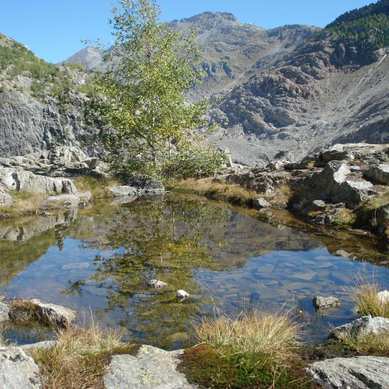 Verträumt schön zu jeder Jahreszeit Bergpanoramasicht - Apartment mit Blick auf die Berge - 56