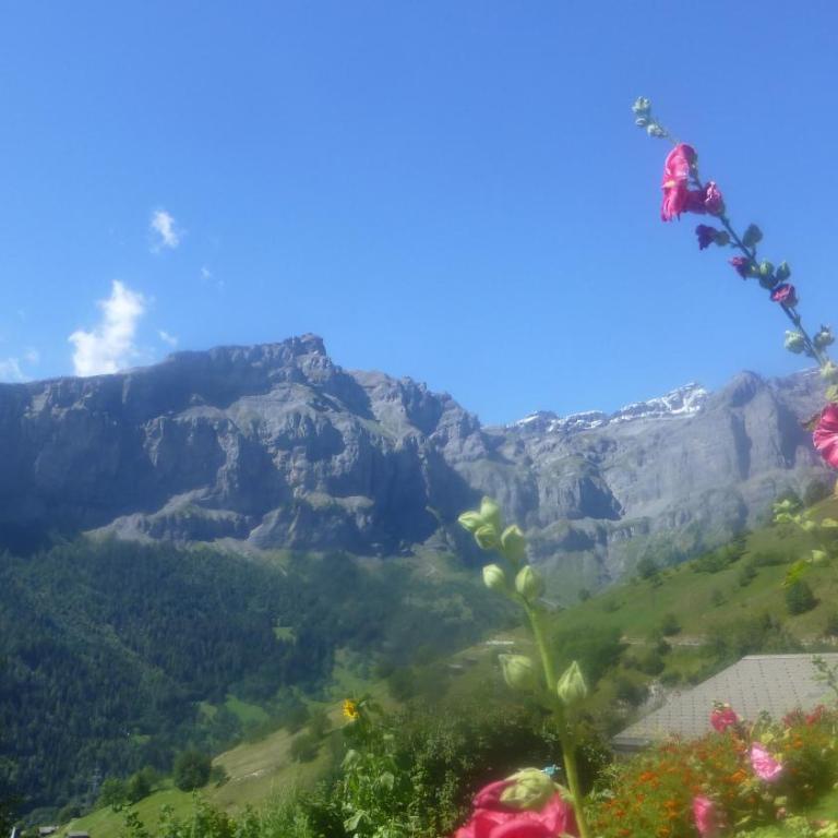 Verträumt schön zu jeder Jahreszeit Bergpanoramasicht - Apartment mit Blick auf die Berge - 29