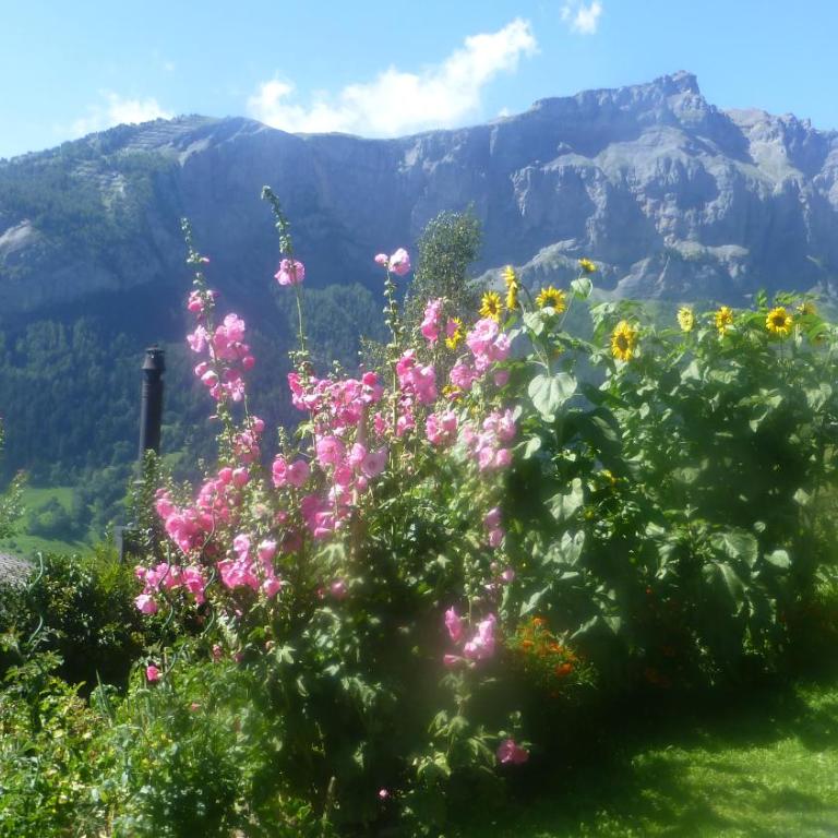 Verträumt schön zu jeder Jahreszeit Bergpanoramasicht - Apartment mit Blick auf die Berge - 30