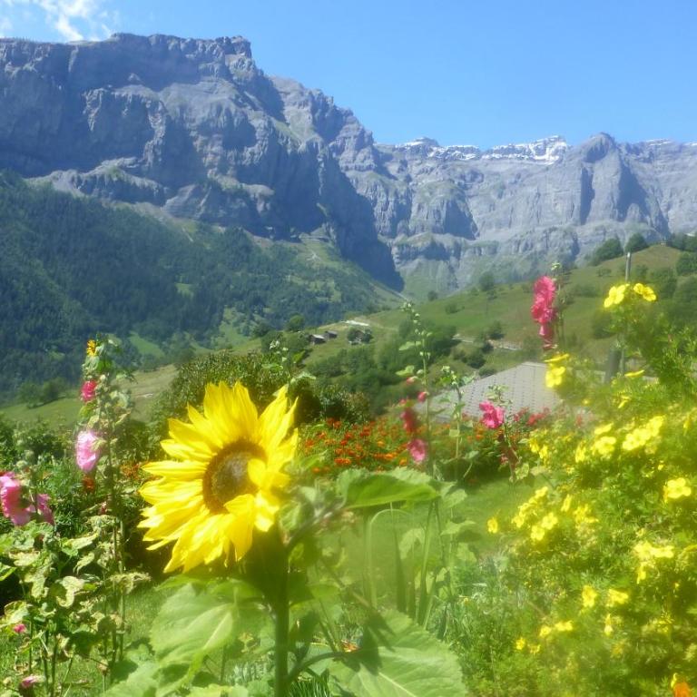 Verträumt schön zu jeder Jahreszeit Bergpanoramasicht - Apartment mit Blick auf die Berge - 28