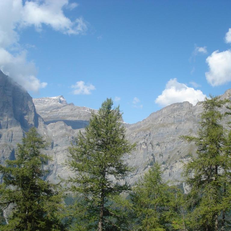 Verträumt schön zu jeder Jahreszeit Bergpanoramasicht - Apartment mit Blick auf die Berge - 51