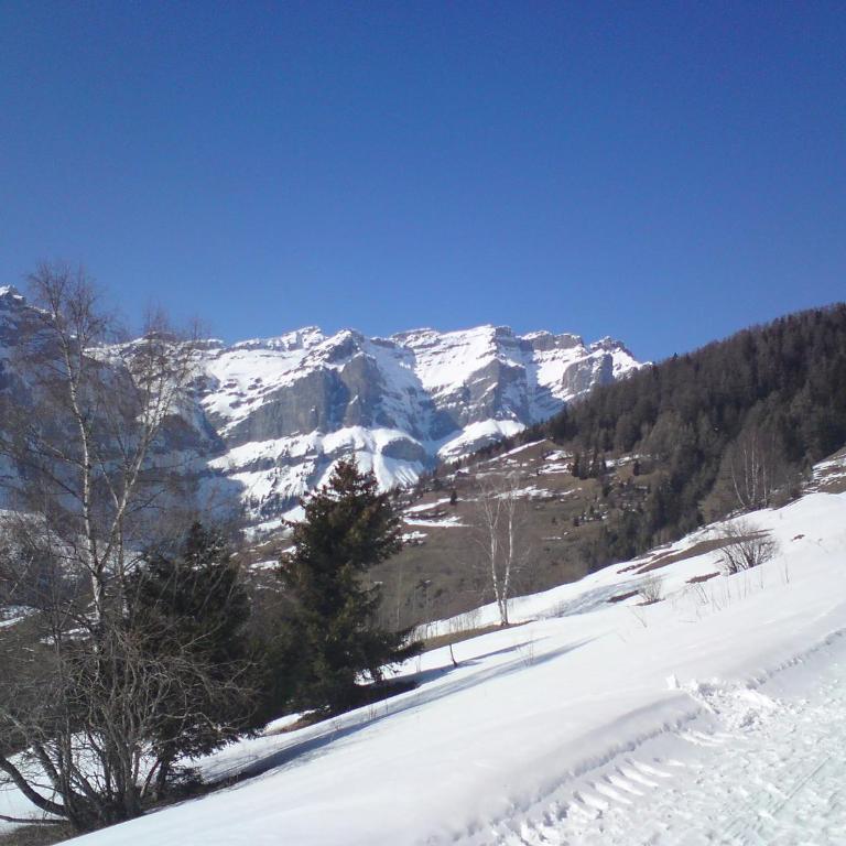 Verträumt schön zu jeder Jahreszeit Bergpanoramasicht - Apartment mit Blick auf die Berge - 73