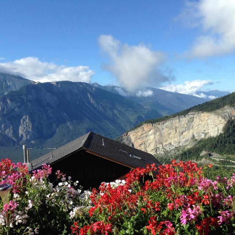 Verträumt schön zu jeder Jahreszeit Bergpanoramasicht - Apartment mit Blick auf die Berge - 22