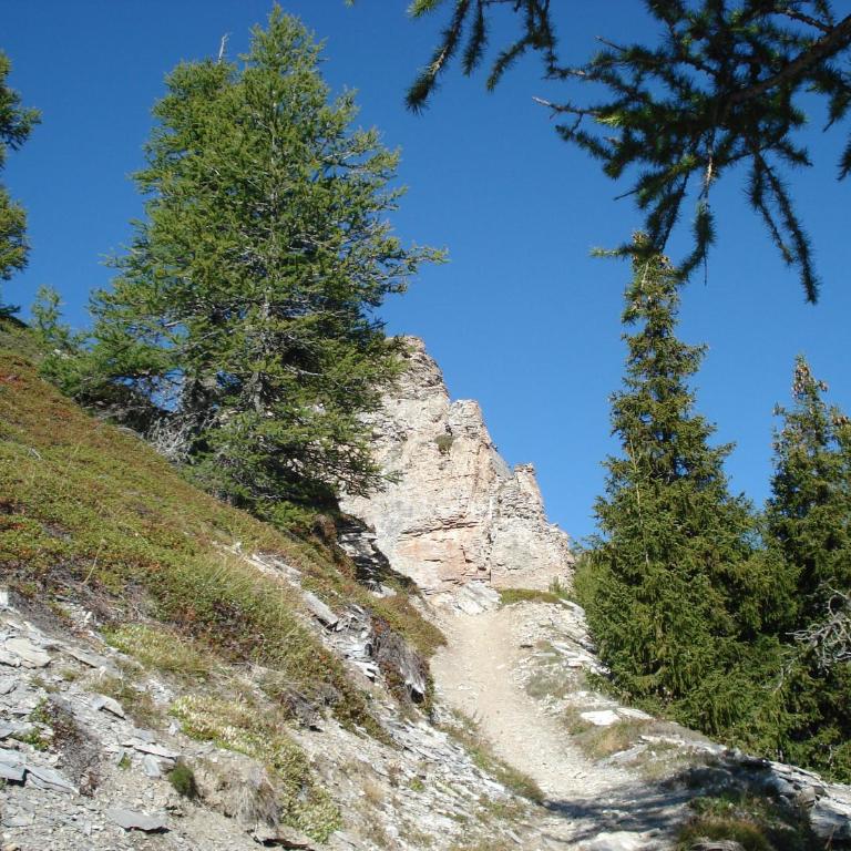 Verträumt schön zu jeder Jahreszeit Bergpanoramasicht - Apartment mit Blick auf die Berge - 46