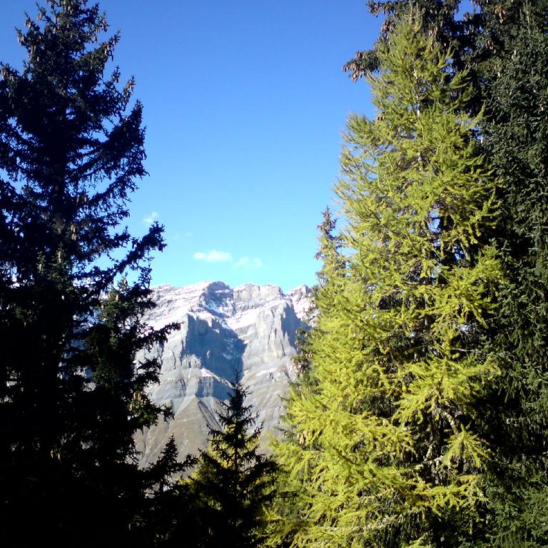 Verträumt schön zu jeder Jahreszeit Bergpanoramasicht - Apartment mit Blick auf die Berge - 45