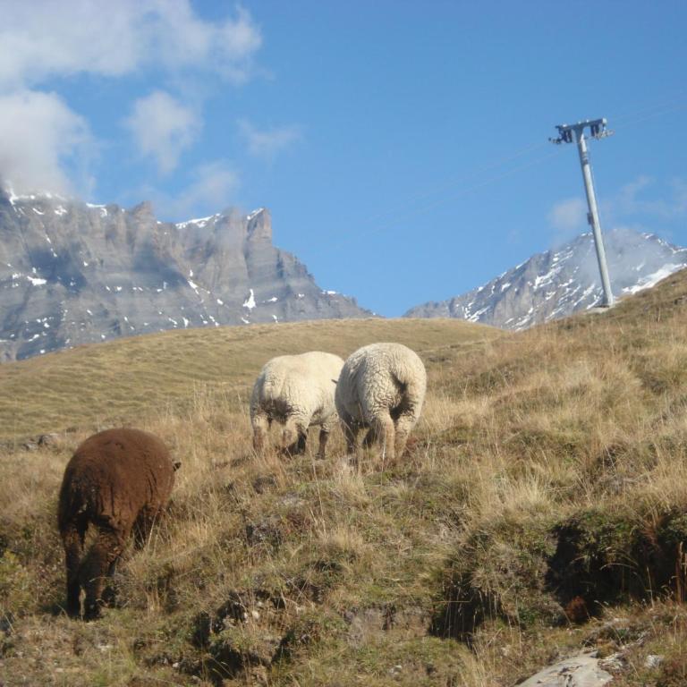 Verträumt schön zu jeder Jahreszeit Bergpanoramasicht - Apartment mit Blick auf die Berge - 54