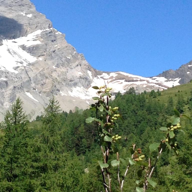 Verträumt schön zu jeder Jahreszeit Bergpanoramasicht - Apartment mit Blick auf die Berge - 40