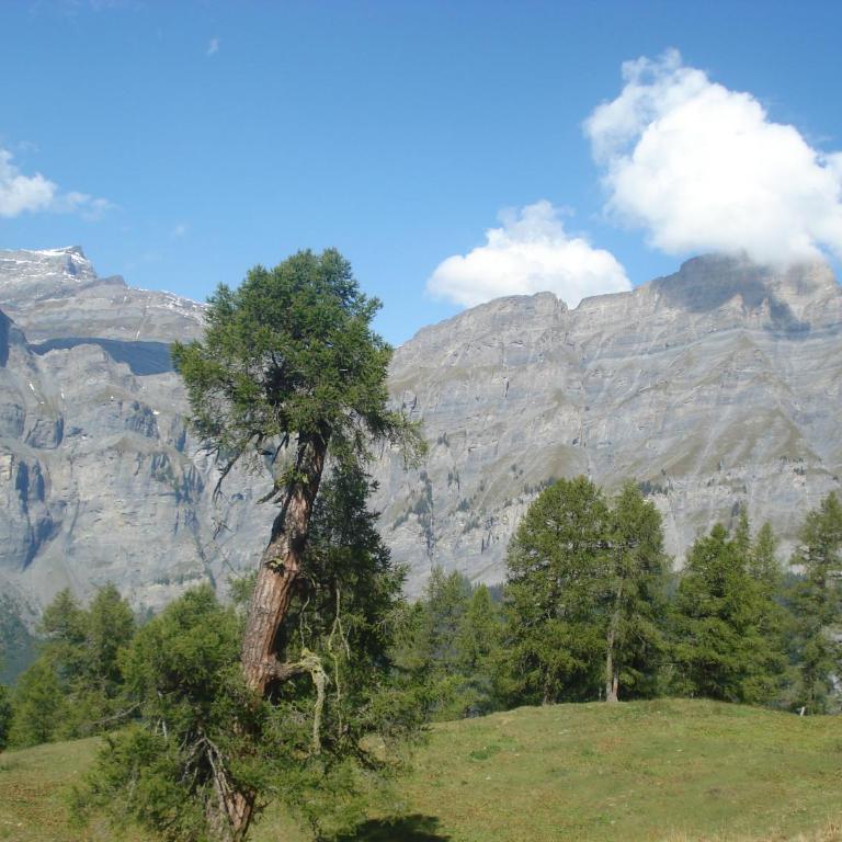 Verträumt schön zu jeder Jahreszeit Bergpanoramasicht - Apartment mit Blick auf die Berge - 39