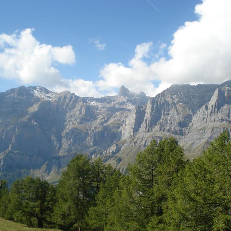 Verträumt schön zu jeder Jahreszeit Bergpanoramasicht - Apartment mit Blick auf die Berge - 37