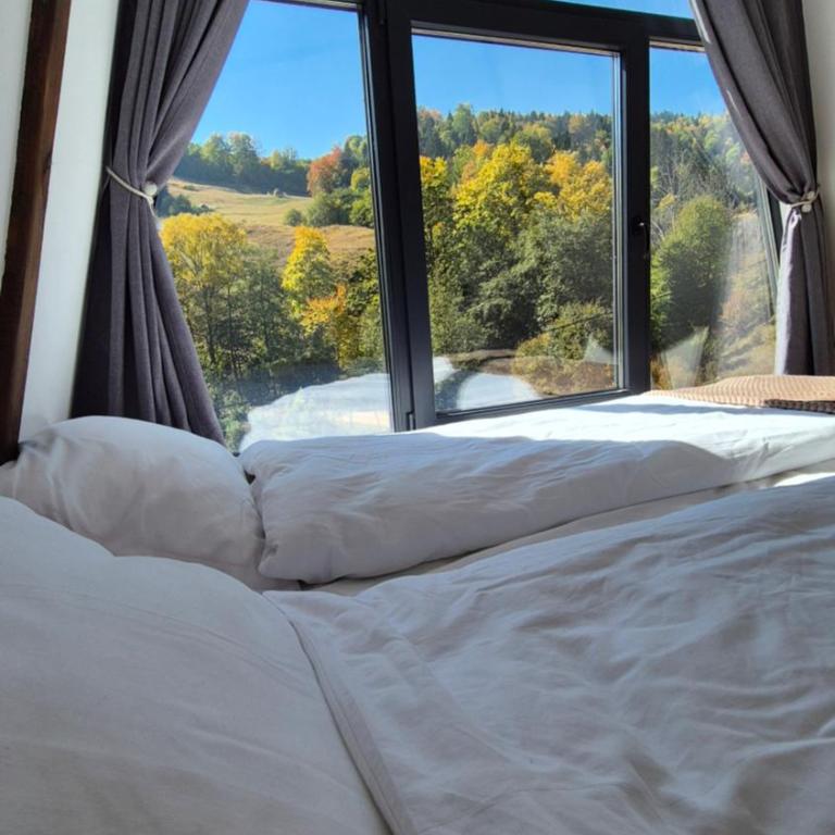 Black Pearl Jahorina Two Private Chalets - Koliba sa 2 Spavaće Sobe - 16