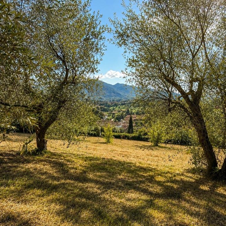 Casale Contesora - Tuscan Villa with 4 BedRoom, 4 PrivateBath & Gym - Villa - 18