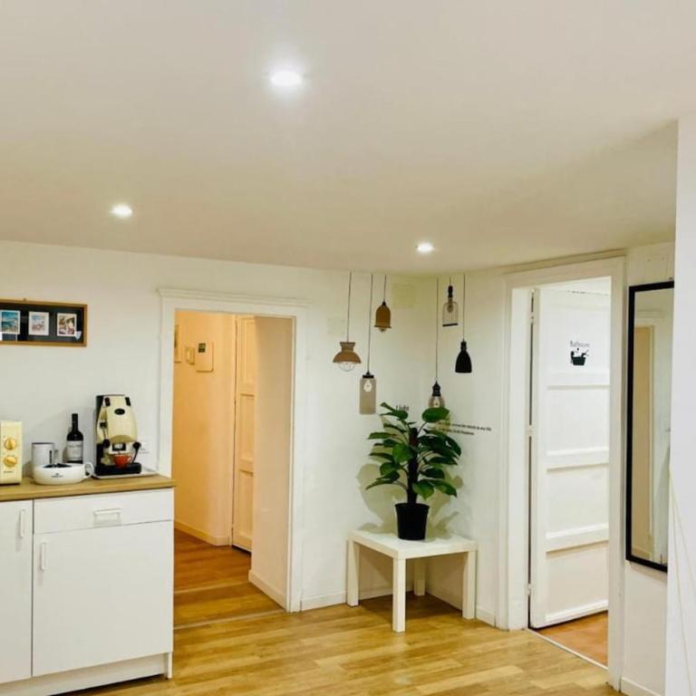 Maletto 1 Room apartement - One-Bedroom Apartment - 13