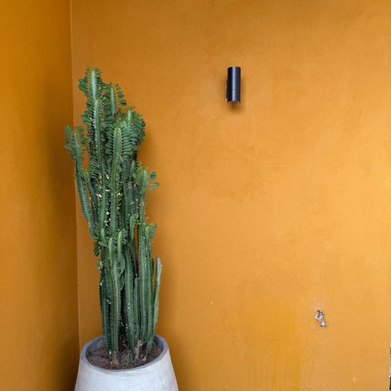 Upscale penthouse apartment Soul of the City - Two-Bedroom Apartment - 6