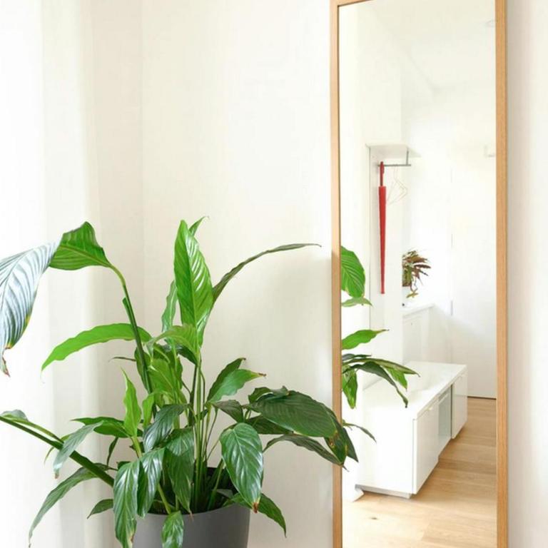 Elegante Apartamento en el Corazon de Madrid - Apartamento de 1 dormitorio - 3