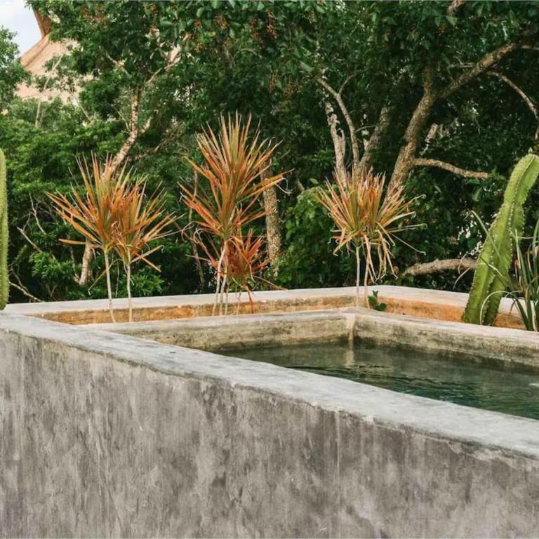 Casa Shalva Iconic 6BR Design Villa with Rooftop - Villa - 30