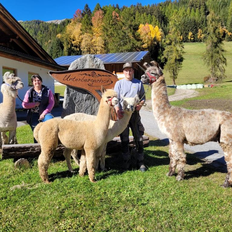 Unterbergerhof - Escape daily life - Enjoy nature - Create memories - Appartamento con Balcone - 11