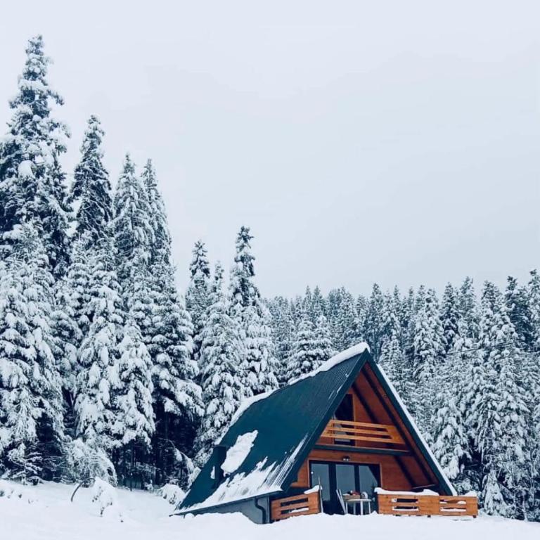 Vikendica Pavlovic - Haus mit 2 Schlafzimmern - 3