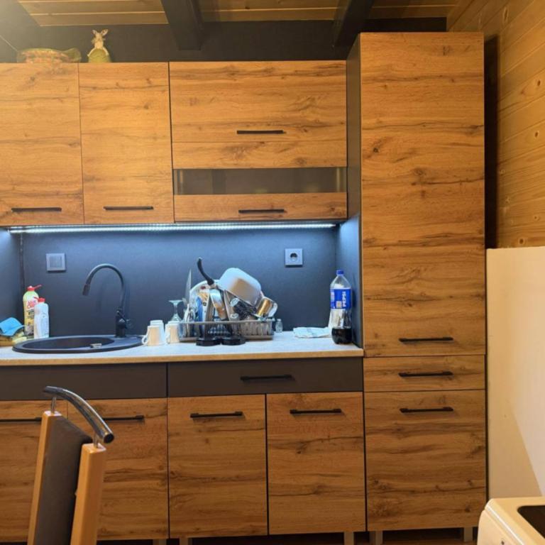 Vikendica Pavlovic - Haus mit 2 Schlafzimmern - 12