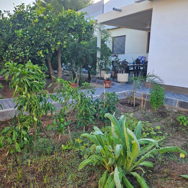 Casa Huerta del Sol - Appartamento con 1 Camera da Letto - 13