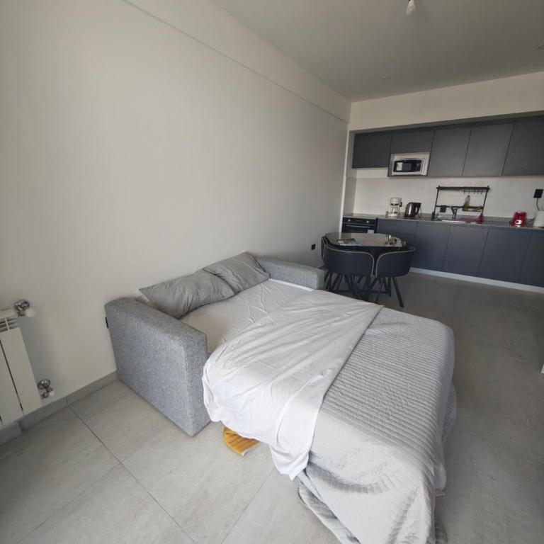 Departamento premium en neuquen - Apartamento de 1 dormitorio - 10