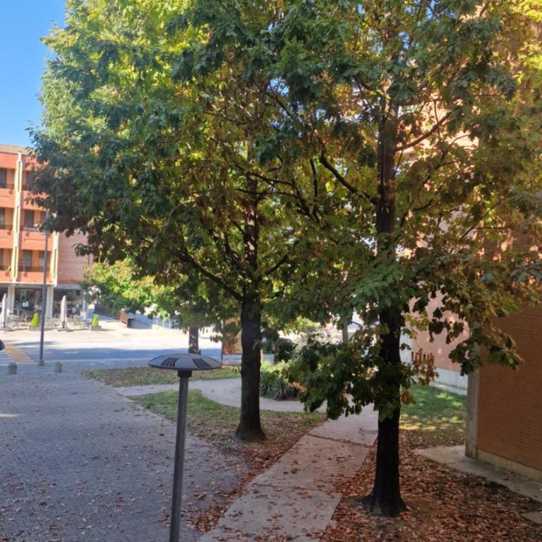 Madelis Home - Appartamento con 1 Camera da Letto - 25