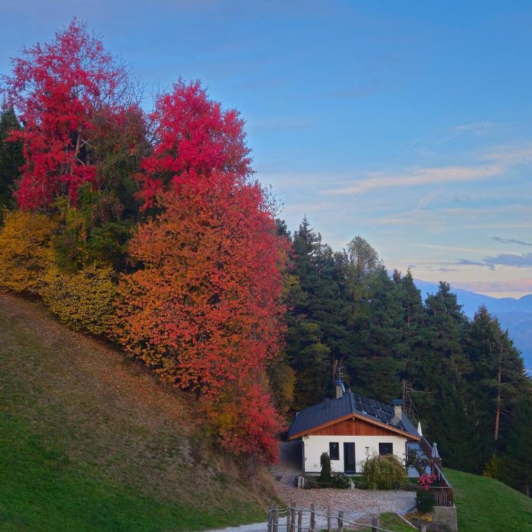 Alone in Chalet with view on Dolomites - Apartment mit 2 Schlafzimmern - 3