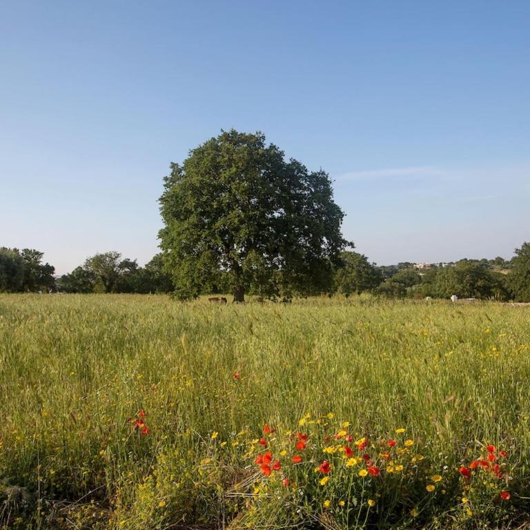 La Villa Ddò Relais di Puglia - Villa con 3 Camere da Letto - 26