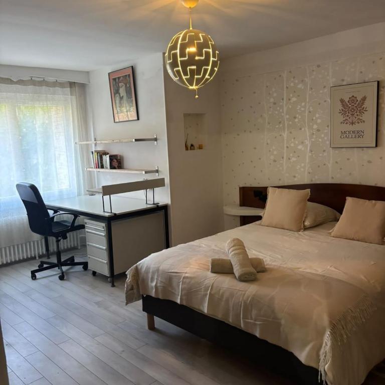 Le Louis RdC - Appartement design avec jardin privatif - Appartement 2 Chambres - 28