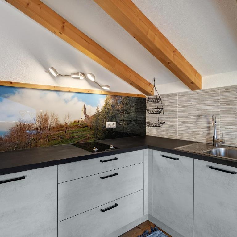 Ausserhaslerhof - Appartamento con 1 Camera da Letto e Vista Lago - 8
