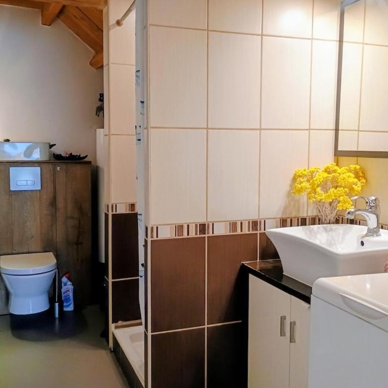 Secret de Provence Studio Rénové Hypercentre de L'Isle sur la sorgue cosy avec vue sur les toits - Apartment mit 1 Schlafzimmer - 8