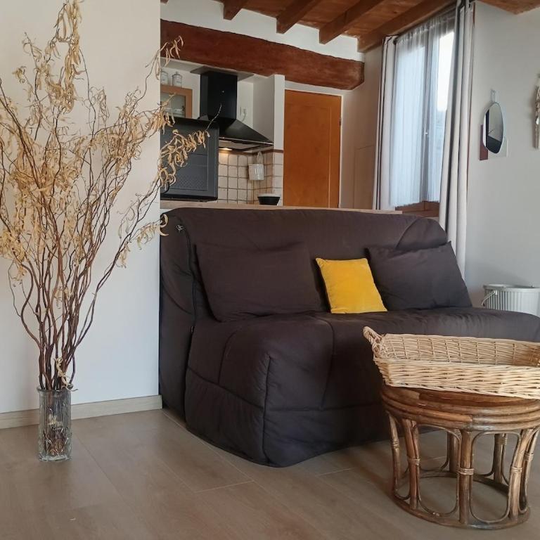 Secret de Provence Studio Rénové Hypercentre de L'Isle sur la sorgue cosy avec vue sur les toits - Apartment mit 1 Schlafzimmer - 10