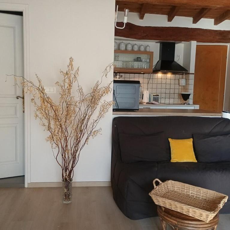 Secret de Provence Studio Rénové Hypercentre de L'Isle sur la sorgue cosy avec vue sur les toits - Apartment mit 1 Schlafzimmer - 14