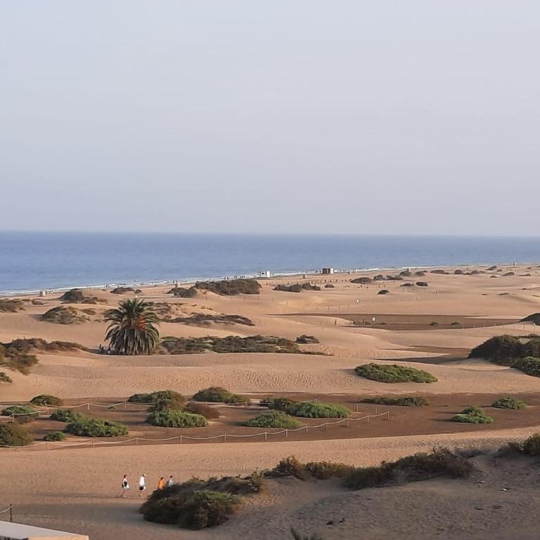 Playa del Inglés Céntrico Los Molinos 135 - Apartment mit 1 Schlafzimmer - 2